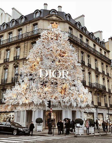 dior christmas tree decorations|DIOR.